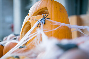 Halloween Kürbisse und Dekoration