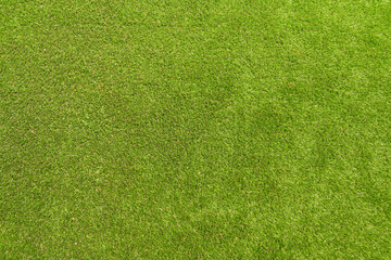 Short green grass on an artificial lawn. No people. Copy space.