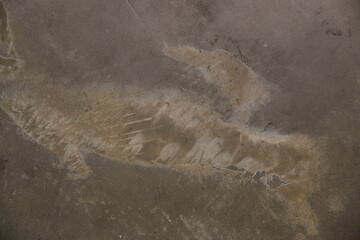 fondo abstracto con manchas grises sobre suelo de cemento