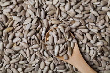 Natural shelled sunflower seeds in wooden spoon