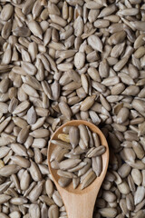 Natural shelled sunflower seeds in wooden spoon