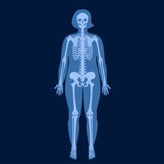 Fototapeta na wymiar Skeleton x ray