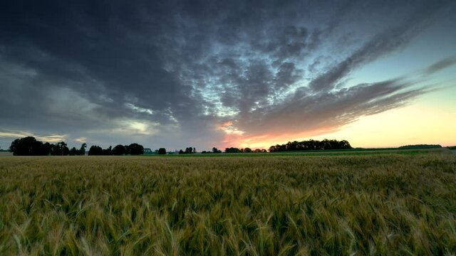 Beautiful sunrise over fields