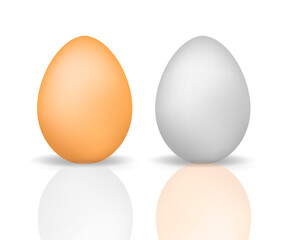 Eggs realistic 3d style with reflection. Eggshell chicken isolated on a white background. Vector illustration