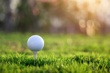 golf ball on tee in a beautiful golf course with morning sunshine