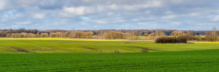 green meadow under cloudy sky on a summer day