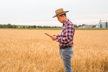 Naklejka na ściany i meble Young caucasian farmer checking wheat field progress with tablet using internet.