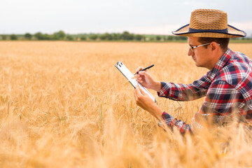 Farmer writing on a document the wheat development plan. Farmer checking wheat field progress. 
