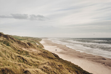 beach and sea in denmark, two person go for a walk 