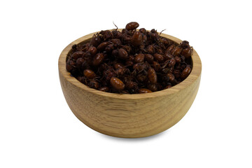 Edible insect subterranean ants isolated on white background , Northern thailand traditional food .