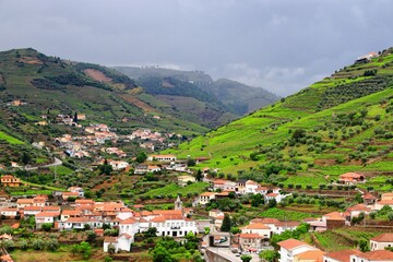 Fototapeta na wymiar Regua landscape, Douro DOC