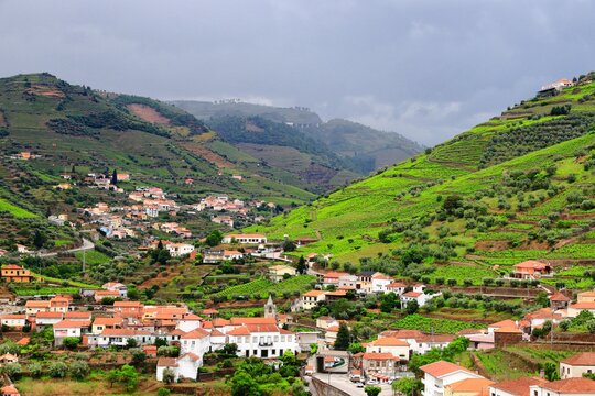 Regua Landscape, Douro DOC