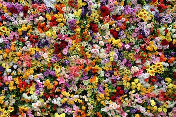 Colorful flowers background