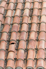 Close-up of a group of roof tiles on a row 
