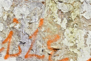 Weathered wall background