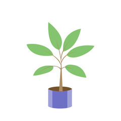 Drawn houseplant in a pot. Green leaves. Vector isolated illustration.