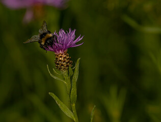 Beezeit Was?