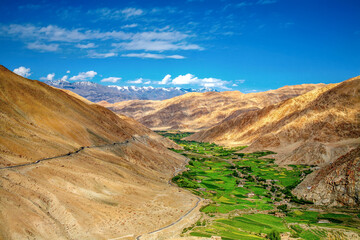 Beautiful Landscape, The Meadows and farmlands at Ladakh , india