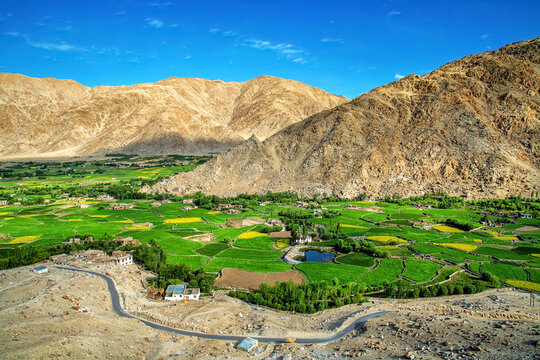 Beautiful Landscape, The Meadows and farmlands at Ladakh , india