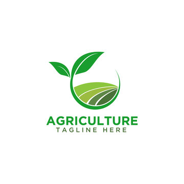 agriculture farm logo design illustration vector template