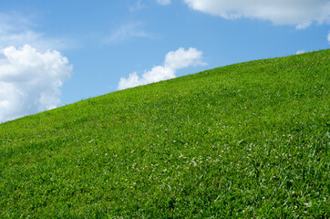 Obraz premium green field and blue sky