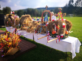 Harvest fest. Artistic look in vivid colours.