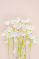 White bells flowers on a light pastel textured background. Floral image for postcards, vertical banner. The concept of spring, summer, gift, women's day, birthday. Calm muted shades.