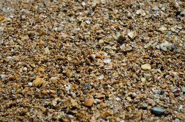 pebbles in the sand