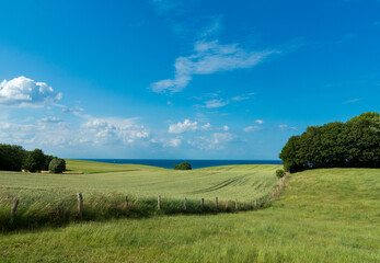 rural landscape by the baltic sea near Kiel