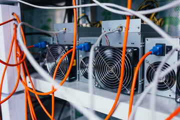 ASIC miners stand on a shelf and connected to electricity and the Internet