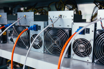 ASIC miners stand on a shelf and connected to electricity and the Internet