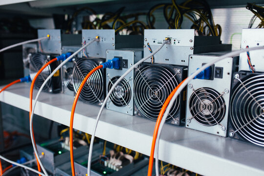 ASIC miners stand on a shelf and connected to electricity and the Internet
