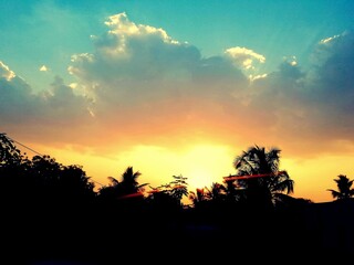 sunset with palm trees