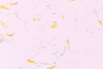 Fototapeta na wymiar Handmade Paper With Dried Flower Petals