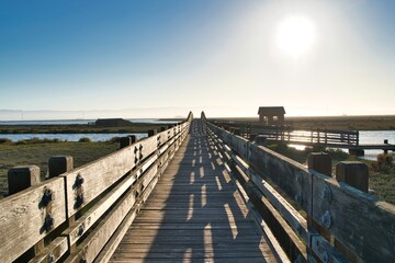 Wooden bridge and cabin landscape, Don Edwards San Francisco Bay National Wildlife Refuge, Fremont