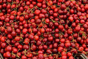 Ciliegie, biologiche, natura