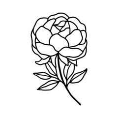 Hand drawn rose, peony flower and botanical leaf branch illustration. Black line art vector feminine logo. Symbol and icon for wedding, business card, cosmetics, jewel, brand, and beauty products