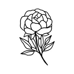 Hand drawn rose, peony flower and botanical leaf branch illustration. Black line art vector feminine logo. Symbol and icon for wedding, business card, cosmetics, jewel, brand, and beauty products