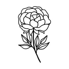 Hand drawn rose, peony flower and botanical leaf branch illustration. Black line art vector feminine logo. Symbol and icon for wedding, business card, cosmetics, jewel, brand, and beauty products