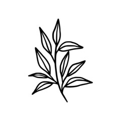 Hand drawn monochrome plant, leaf logo element. Symbol, greeting cards, botanical icon, or banner. Summer, spring, and autumn botany element