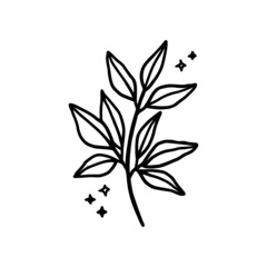 Hand drawn monochrome plant, leaf logo element. Symbol, greeting cards, botanical icon, or banner. Summer, spring, and autumn botany element