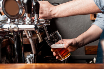 Fototapeta na wymiar Craft beer from keg. Bartender pours beer in glass from tap