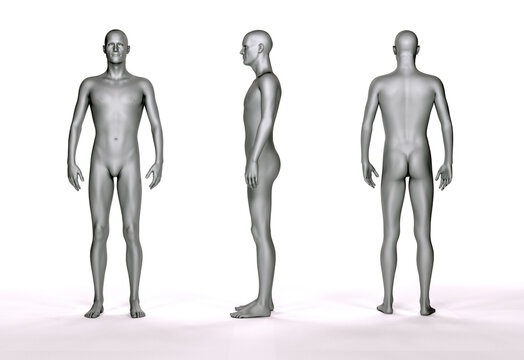 3D Rendering : Portrait of standing male ectomorph (skinny) body type 