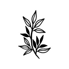 Hand drawn monochrome plant, leaf logo element. Symbol, greeting cards, botanical icon, or banner. Summer, spring, and autumn botany element