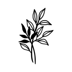 Hand drawn monochrome plant, leaf logo element. Symbol, greeting cards, botanical icon, or banner. Summer, spring, and autumn botany element