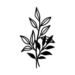 Hand drawn monochrome plant, leaf logo element. Symbol, greeting cards, botanical icon, or banner. Summer, spring, and autumn botany element