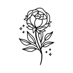 Obraz premium Hand drawn peony flower element. Floral line art for feminine beauty logo, icon, business card, wedding invitation, or decoration