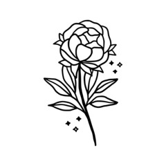 Hand drawn vector feminine logo design line art. Peony flowers and botanical leaf branch illustration. Symbols and icon for wedding, business card, cosmetics, jewel, and beauty products