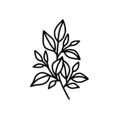 tiny simple botanical leaf illustration, line art, minimal design element. elegant and delicate monochrome plant for branding, wedding invitation, floral clip art, feminine beauty logo or icon