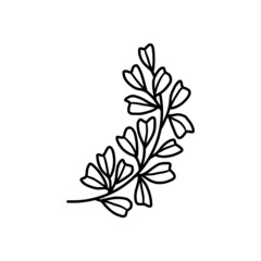 tiny simple botanical leaf illustration, line art, minimal design element. elegant and delicate monochrome plant for branding, wedding invitation, floral clip art, feminine beauty logo or icon